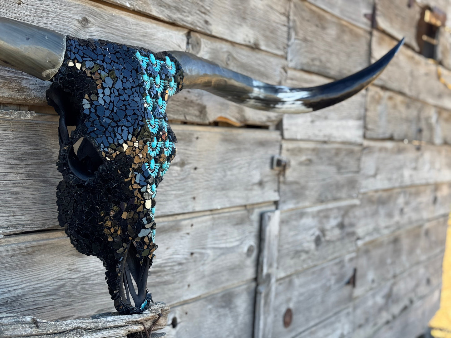The Katrina Longhorn