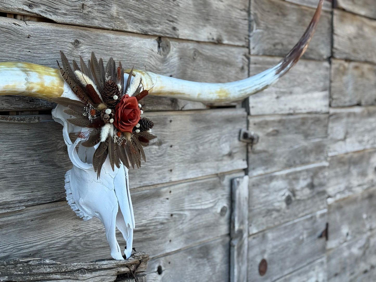 The Linley Longhorn