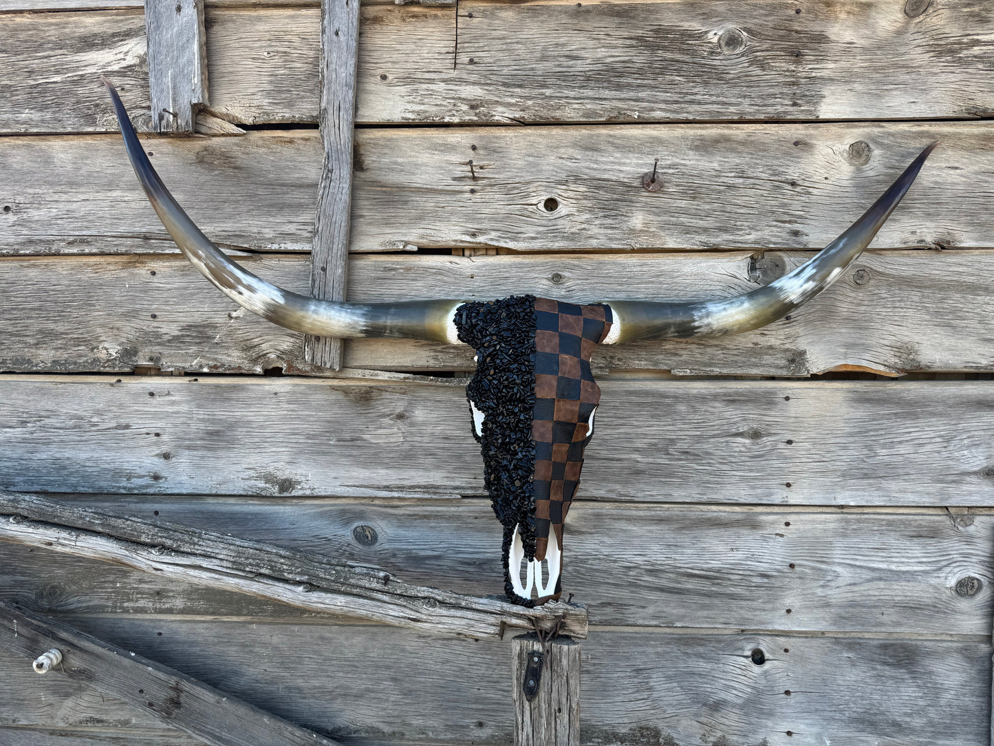The Chelsea Longhorn