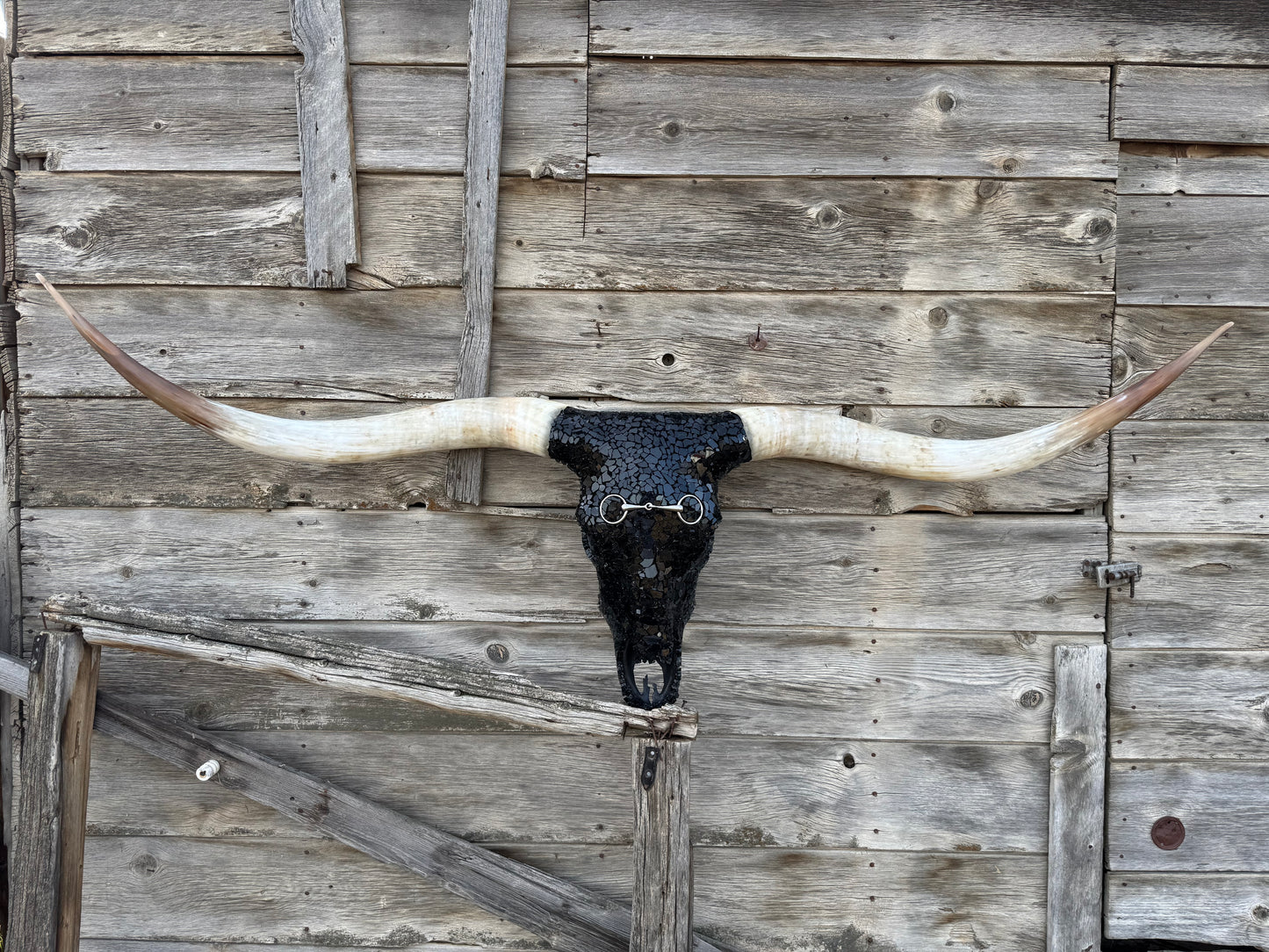 The Snaffle Bit Longhorn