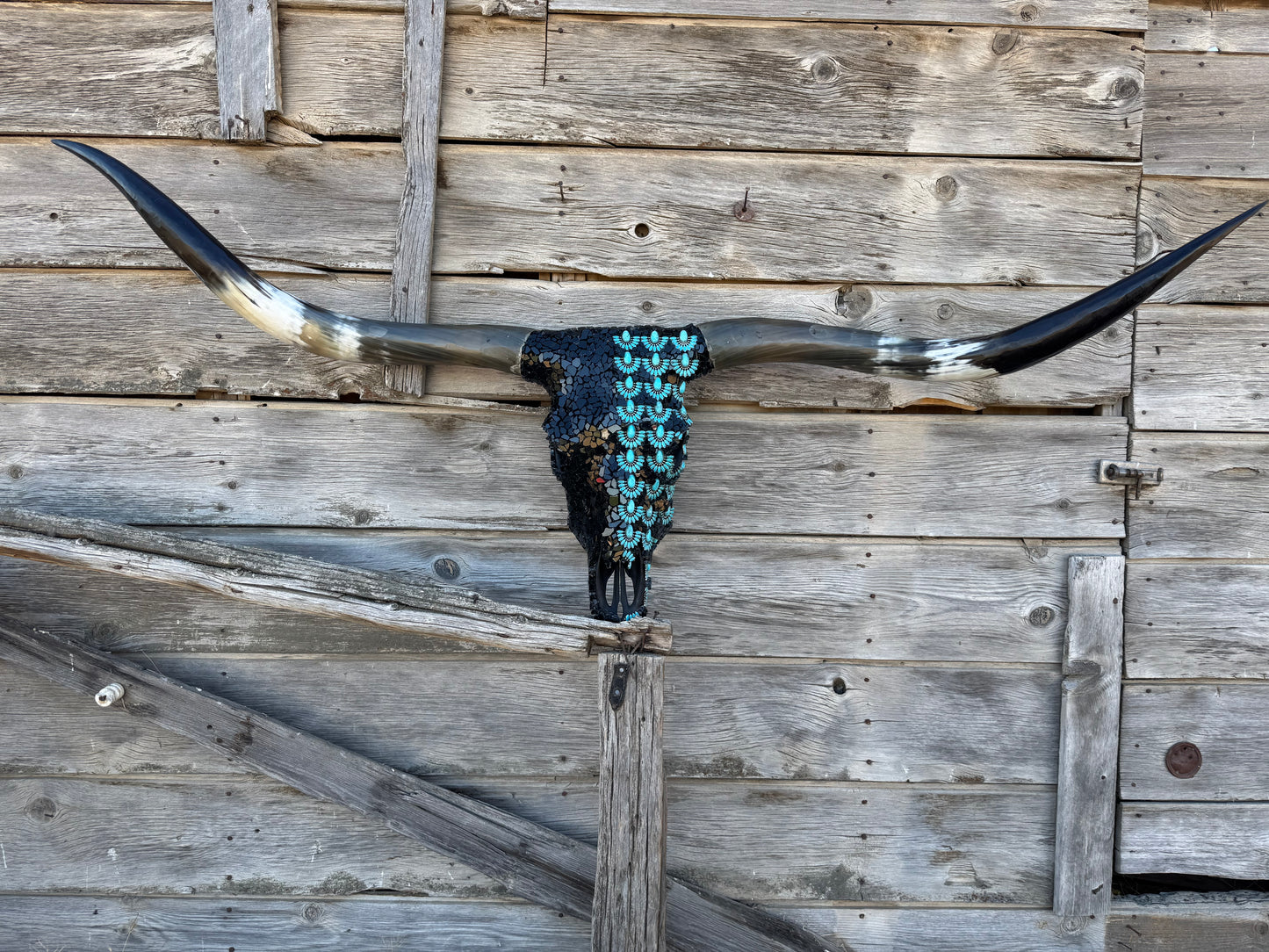 The Katrina Longhorn