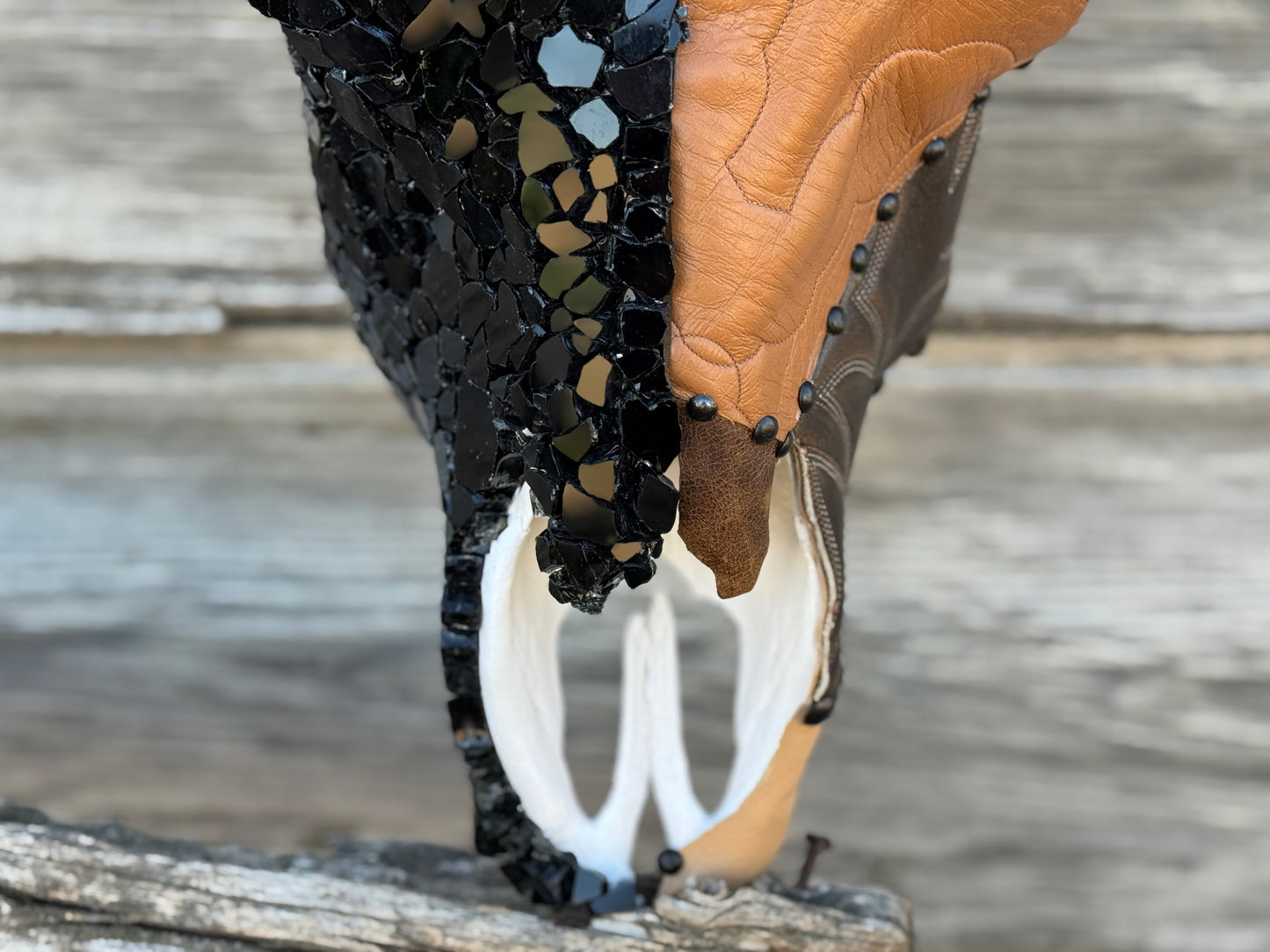 Kick Up Your Boots Longhorn