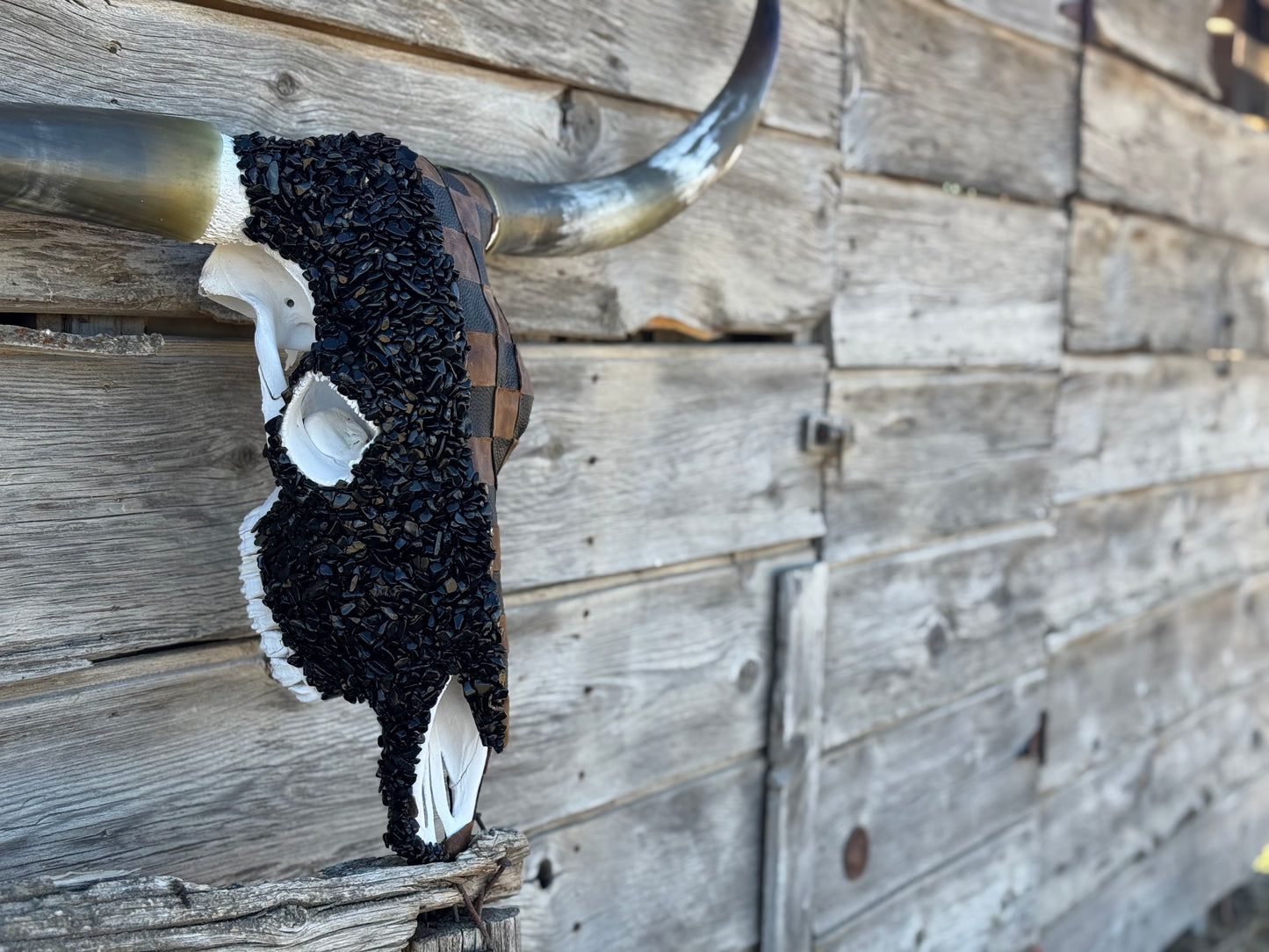 The Chelsea Longhorn