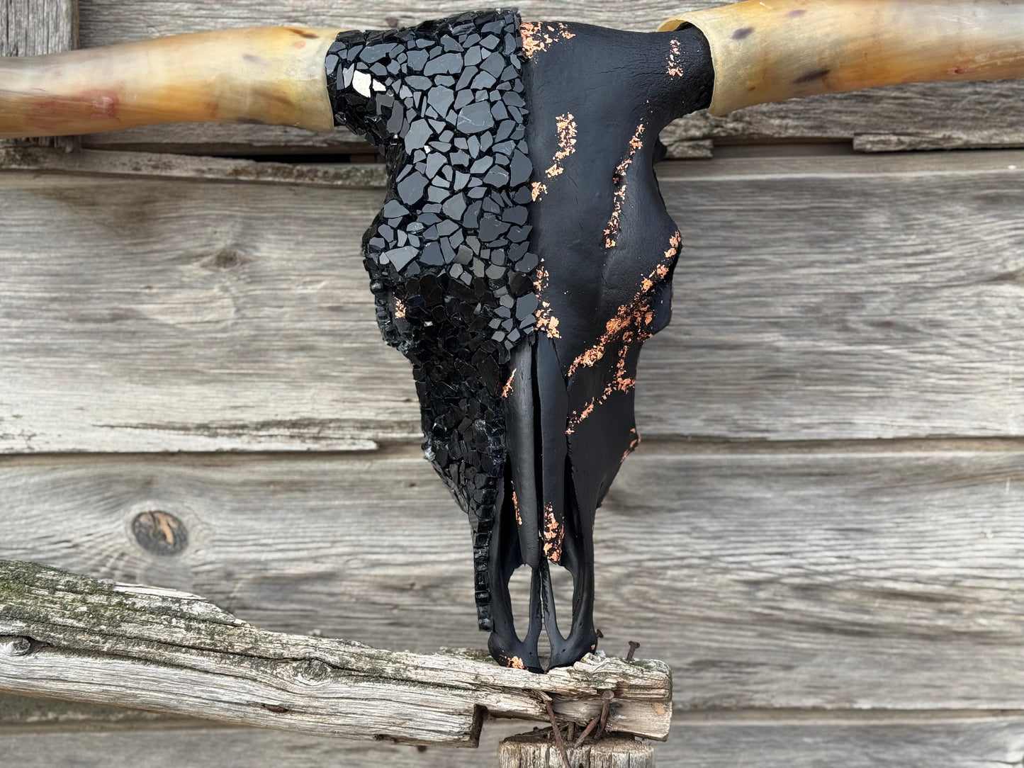 Christmas longhorn 7