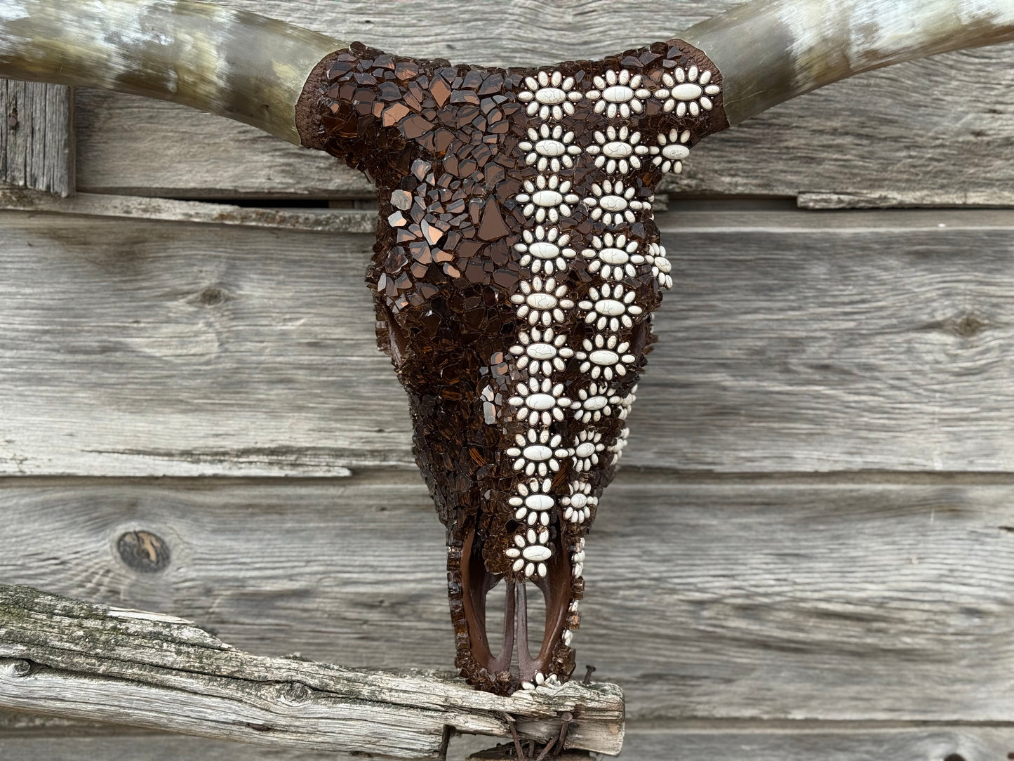 Christmas longhorn 8