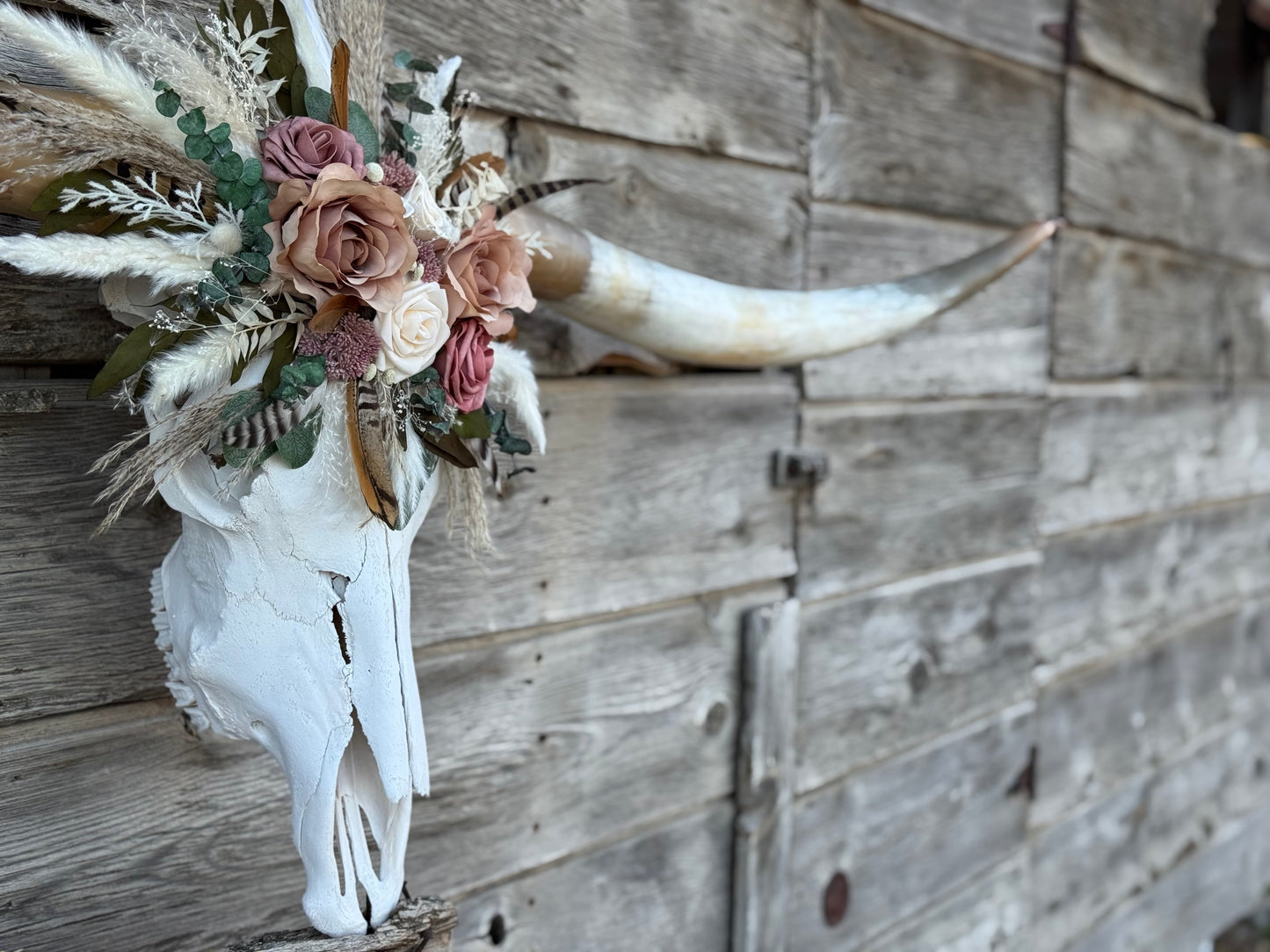 Christmas longhorn 5