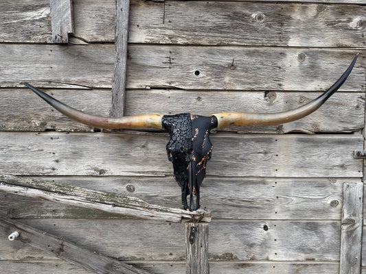 Christmas longhorn 7