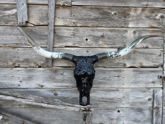 Christmas longhorn 6
