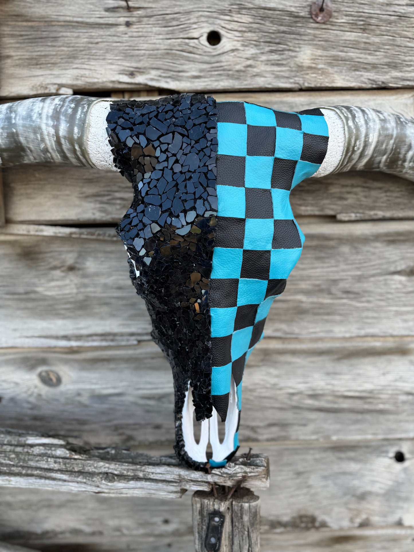 The Turquoise Checkered Longhorn