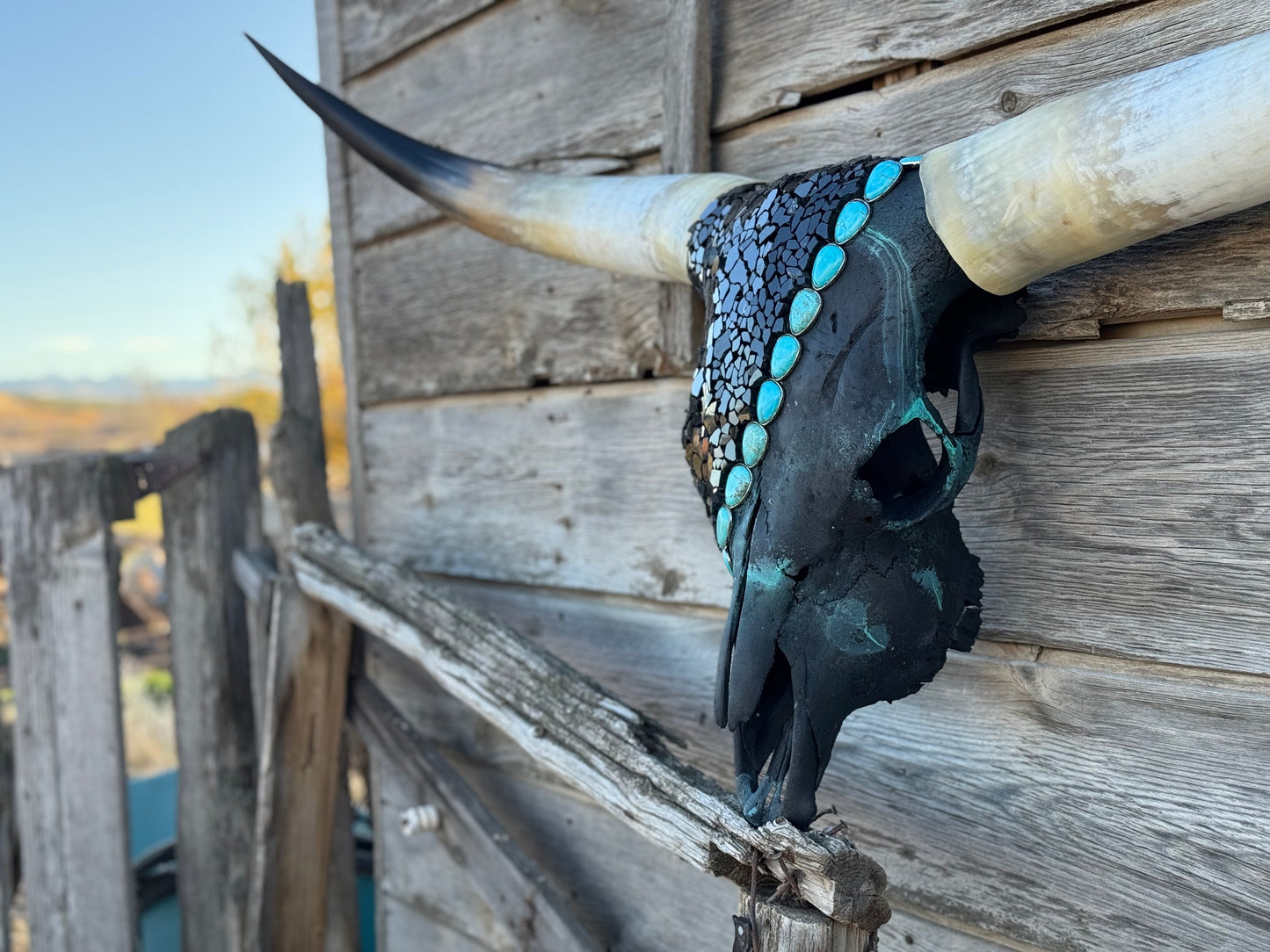 Christmas Longhorn 3