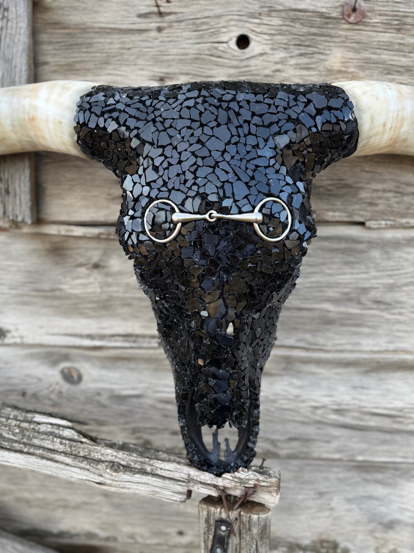 The Snaffle Bit Longhorn