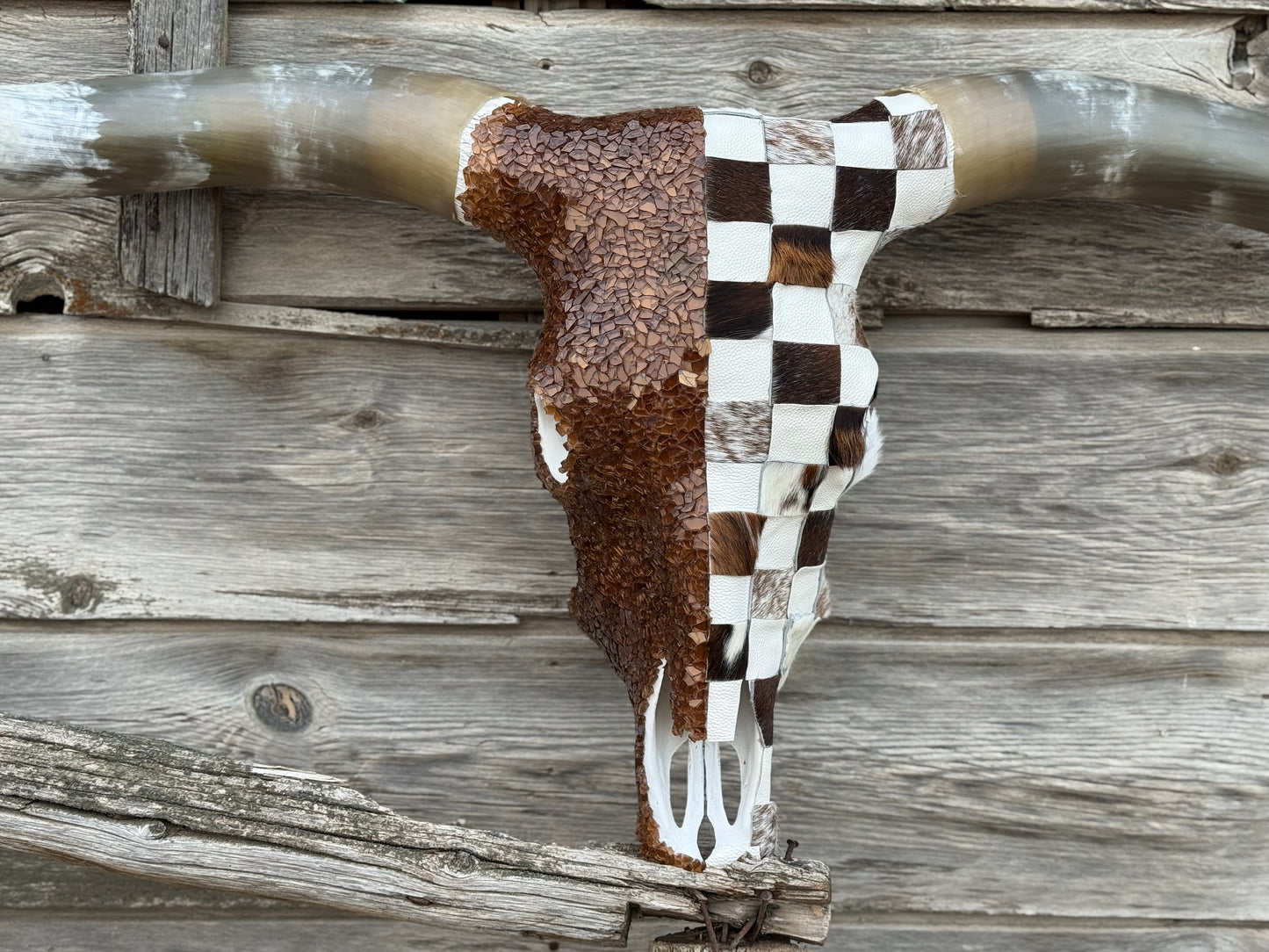 Christmas Longhorn 9