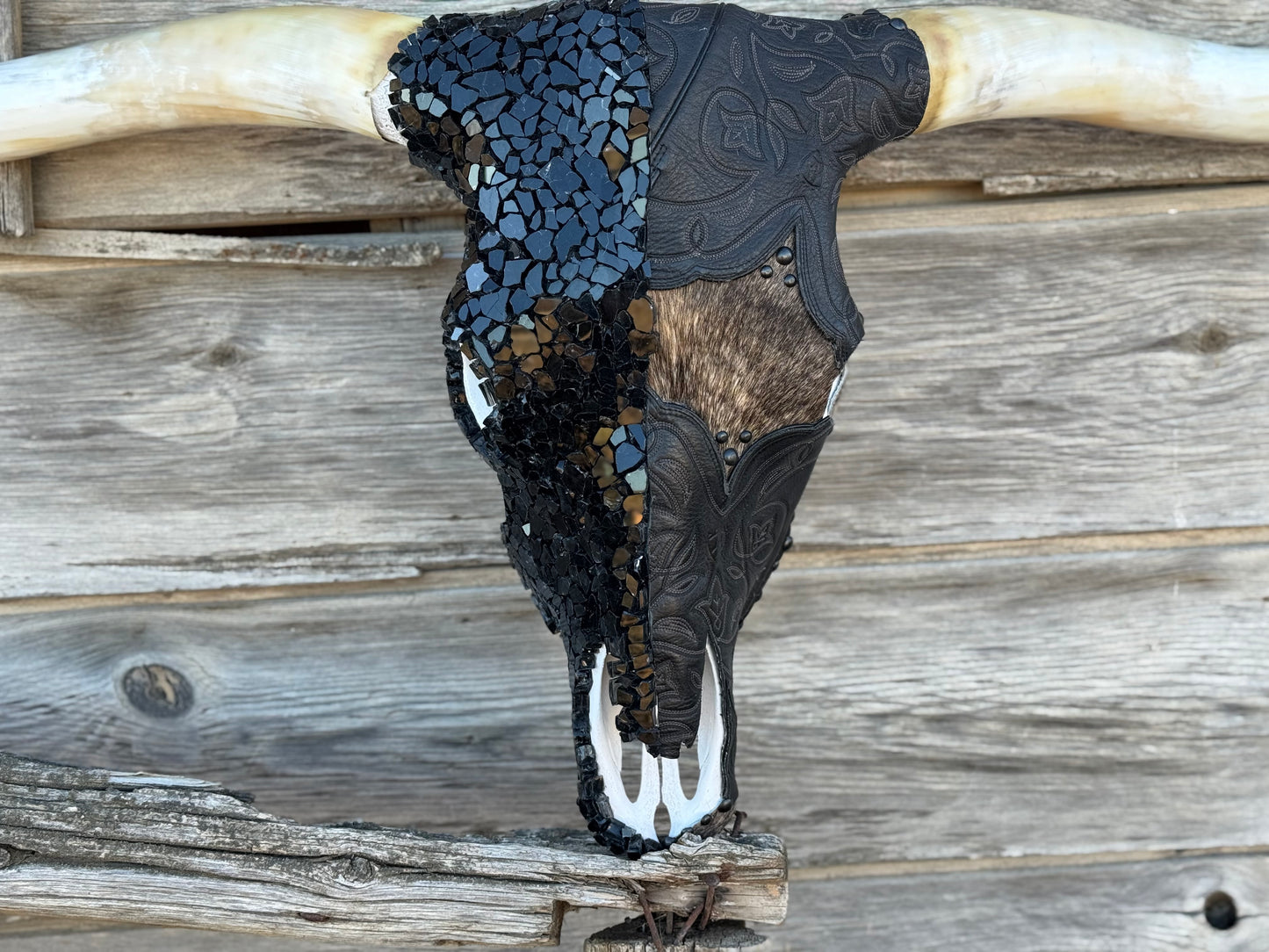Christmas 1 longhorn