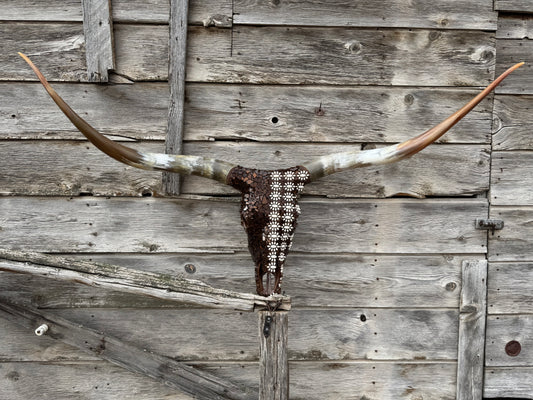 Christmas longhorn 8
