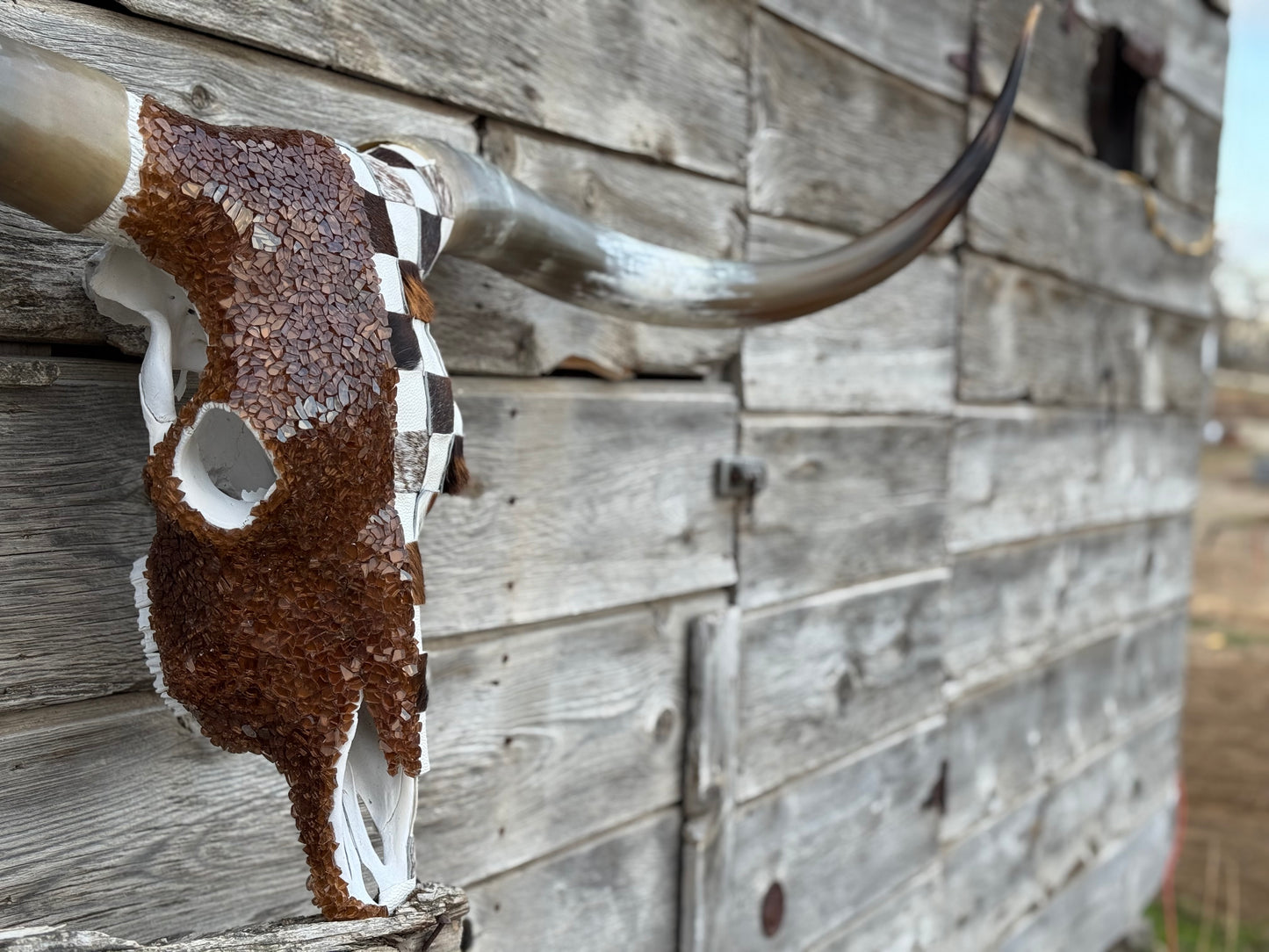 Christmas Longhorn 9