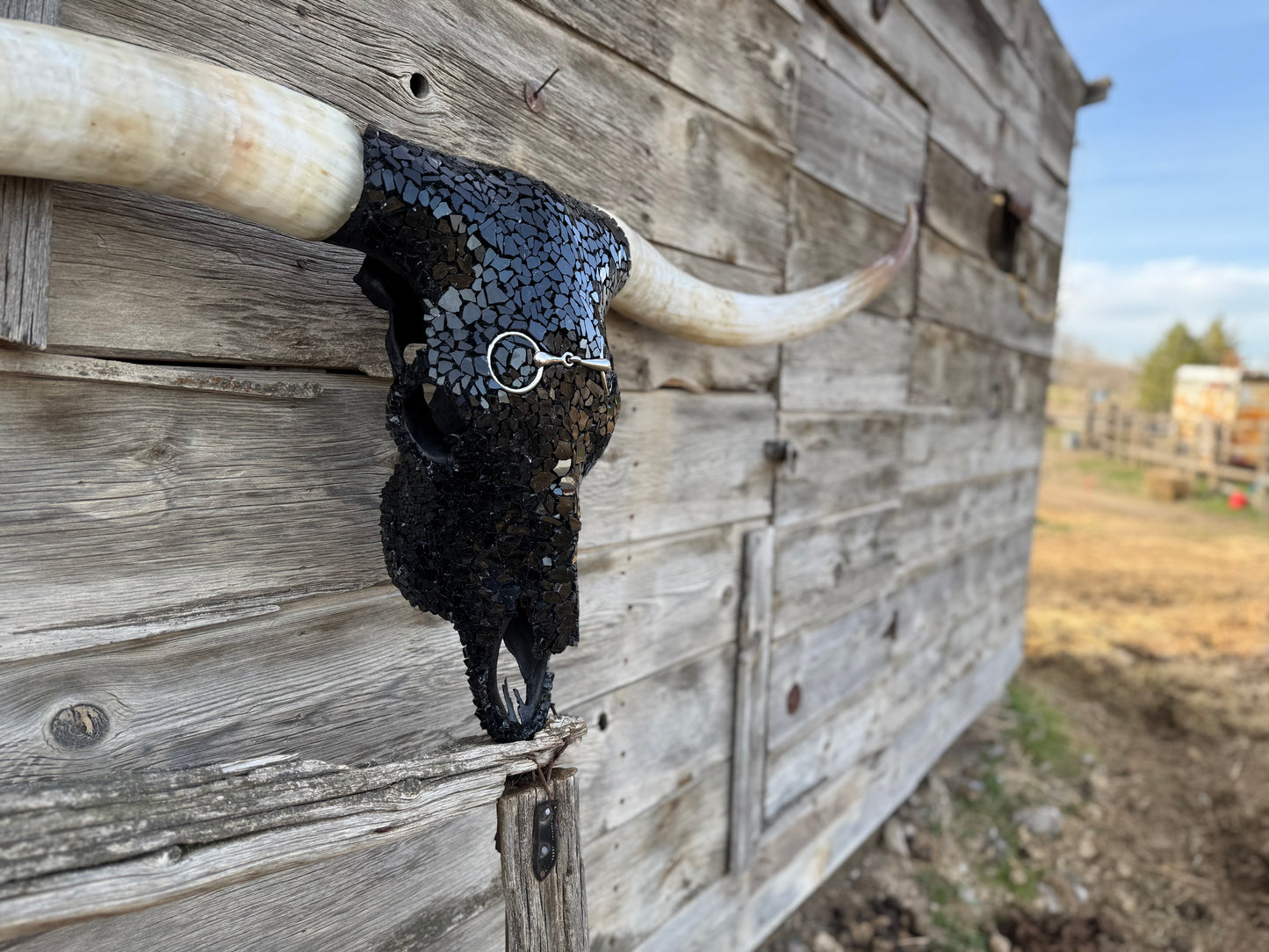 The Snaffle Bit Longhorn