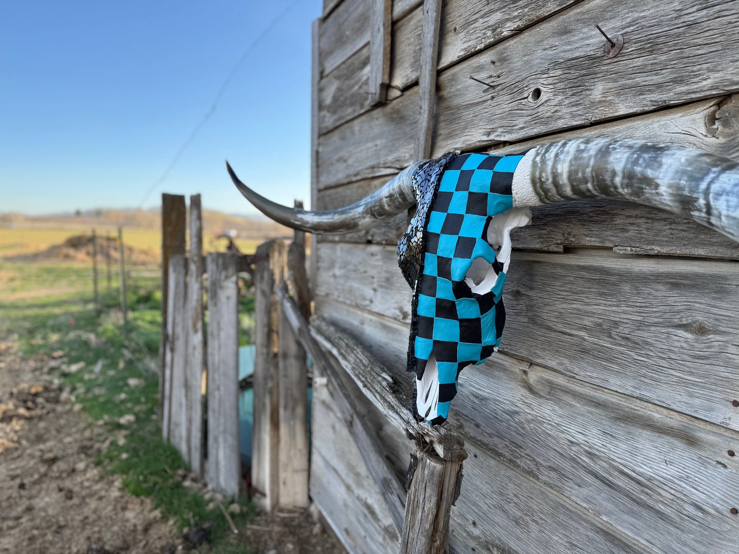 The Turquoise Checkered Longhorn