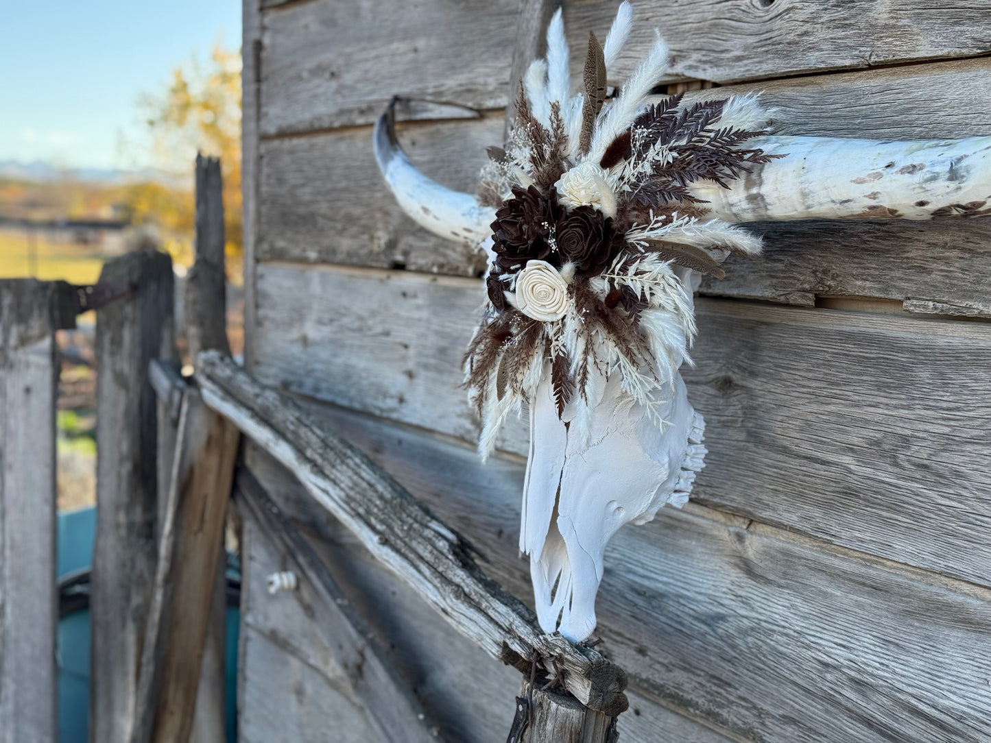 Christmas longhorn 2